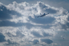 Air Force One arrives at JFK airport carrying President Joe Biden who is on his way to the UN General Assembly which kicks off on September 21, 2021. (C) Bianca Otero September 20, 2021.