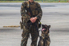 A K-9 dog and his handler at JFK Airport awaiting the arrival of President Joe Biden. President Biden declared that the US will use "relentless diplomacy" instead of military means like that of the Afghanistan "relentless war" and that the next decade is a "decisive decade" for the world and our decisions will determine the global community's future. (C) Bianca Otero September 21, 2021