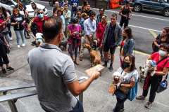 Animals and their humans await entering the Church of St. Francis of Assisi in NYC for the Blessing of Animals that takes place every year on the first Sunday of October. 
In the Roman Catholic Church, St. Francis of Assisi is patron saint of animals, merchants and ecology.
People from all over bring their beloved furry and not so furry companions to receive blessings. This year broke an all time record of attendees who seek better horizons and better health for the upcoming year. (C) Bianca Otero, NYC. October 3, 2021.