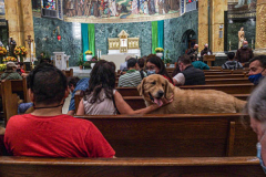 Animals and their humans await the ceremony inside the Church of St. Francis of Assisi in NYC for the Blessing of Animals that takes place every year on the first Sunday of October. 
In the Roman Catholic Church, St. Francis of Assisi is patron saint of animals, merchants and ecology.
People from all over bring their beloved furry and not so furry companions to receive blessings. This year broke an all time record of attendees who seek better horizons and better health for the upcoming year. (C) Bianca Otero, NYC. October 3, 2021.