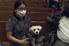 Animals and their humans await the ceremony inside the Church of St. Francis of Assisi in NYC for the Blessing of Animals that takes place every year on the first Sunday of October. 
In the Roman Catholic Church, St. Francis of Assisi is patron saint of animals, merchants and ecology.
People from all over bring their beloved furry and not so furry companions to receive blessings. This year broke an all time record of attendees who seek better horizons and better health for the upcoming year. (C) Bianca Otero, NYC. October 3, 2021.