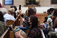 Animals and their humans await the ceremony inside the Church of St. Francis of Assisi in NYC for the Blessing of Animals that takes place every year on the first Sunday of October. 
In the Roman Catholic Church, St. Francis of Assisi is patron saint of animals, merchants and ecology.
People from all over bring their beloved furry and not so furry companions to receive blessings. This year broke an all time record of attendees who seek better horizons and better health for the upcoming year. (C) Bianca Otero, NYC. October 3, 2021.