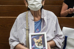 A woman with a picture of her deceased companion awaits the ceremony inside the Church of St. Francis of Assisi in NYC for the Blessing of Animals that takes place every year on the first Sunday of October. 
In the Roman Catholic Church, St. Francis of Assisi is patron saint of animals, merchants and ecology.
People from all over bring their beloved furry and not so furry companions to receive blessings. This year broke an all time record of attendees who seek better horizons and better health for the upcoming year. (C) Bianca Otero, NYC. October 3, 2021.