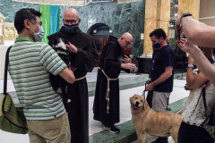 Animals and their humans receive blessings in the ceremony inside the Church of St. Francis of Assisi, NYC during the Blessing of Animals that takes place every year on the first Sunday of October. 
In the Roman Catholic Church, St. Francis of Assisi is patron saint of animals, merchants and ecology.
People from all over bring their beloved furry and not so furry companions to receive blessings. This year broke an all time record of attendees who seek better horizons and better health for the upcoming year. (C) Bianca Otero, NYC. October 3, 2021.