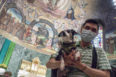 Animals and their humans receive blessings in the ceremony inside the Church of St. Francis of Assisi, NYC during the Blessing of Animals that takes place every year on the first Sunday of October. 
In the Roman Catholic Church, St. Francis of Assisi is patron saint of animals, merchants and ecology.
People from all over bring their beloved furry and not so furry companions to receive blessings. This year broke an all time record of attendees who seek better horizons and better health for the upcoming year. (C) Bianca Otero, NYC. October 3, 2021.