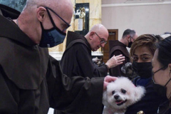 Animals and their humans receive blessings in the ceremony inside the Church of St. Francis of Assisi, NYC during the Blessing of Animals that takes place every year on the first Sunday of October. 
In the Roman Catholic Church, St. Francis of Assisi is patron saint of animals, merchants and ecology.
People from all over bring their beloved furry and not so furry companions to receive blessings. This year broke an all time record of attendees who seek better horizons and better health for the upcoming year. (C) Bianca Otero, NYC. October 3, 2021.