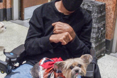 Animals and their humans receive blessings in the ceremony inside the Church of St. Francis of Assisi, NYC during the Blessing of Animals that takes place every year on the first Sunday of October. 
In the Roman Catholic Church, St. Francis of Assisi is patron saint of animals, merchants and ecology.
People from all over bring their beloved furry and not so furry companions to receive blessings. This year broke an all time record of attendees who seek better horizons and better health for the upcoming year. (C) Bianca Otero, NYC. October 3, 2021.