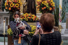 Animals and their humans receive blessings in the ceremony inside the Church of St. Francis of Assisi, NYC during the Blessing of Animals that takes place every year on the first Sunday of October. 
In the Roman Catholic Church, St. Francis of Assisi is patron saint of animals, merchants and ecology.
People from all over bring their beloved furry and not so furry companions to receive blessings. This year broke an all time record of attendees who seek better horizons and better health for the upcoming year. (C) Bianca Otero, NYC. October 3, 2021.