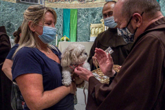 Animals and their humans receive blessings in the ceremony inside the Church of St. Francis of Assisi, NYC during the Blessing of Animals that takes place every year on the first Sunday of October. 
In the Roman Catholic Church, St. Francis of Assisi is patron saint of animals, merchants and ecology.
People from all over bring their beloved furry and not so furry companions to receive blessings. This year broke an all time record of attendees who seek better horizons and better health for the upcoming year. (C) Bianca Otero, NYC. October 3, 2021.