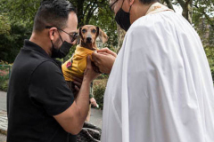 A man and his Dauschund at The blessing of animals at Cathedral Church of St. John The Divine. The Blessing Of The Animals is connected with World Animal Day , which is also the Catholic day of remembrance for Saint Francis of Assisi. The founder of the Franciscan Order is considered the patron saint of animals
