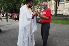 The blessing of animals at Cathedral Church of St. John The Divine. The Blessing Of The Animals is connected with World Animal Day , which is also the Catholic day of remembrance for Saint Francis of Assisi. The founder of the Franciscan Order is considered the patron saint of animals