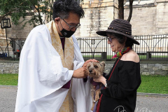 The blessing of animals at Cathedral Church of St. John The Divine. The Blessing Of The Animals is connected with World Animal Day , which is also the Catholic day of remembrance for Saint Francis of Assisi. The founder of the Franciscan Order is considered the patron saint of animals