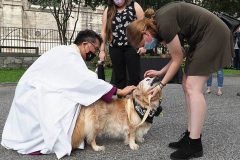 The blessing of animals at Cathedral Church of St. John The Divine. The Blessing Of The Animals is connected with World Animal Day , which is also the Catholic day of remembrance for Saint Francis of Assisi. The founder of the Franciscan Order is considered the patron saint of animals