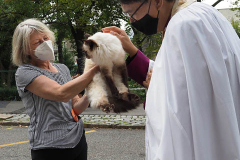 A woman and her Siamese cat at The blessing of animals at Cathedral Church of St. John The Divine in New York City. The Blessing Of The Animals is connected with World Animal Day , which is also the Catholic day of remembrance for Saint Francis of Assisi. The founder of the Franciscan Order is considered the patron saint of animals