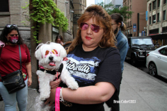 New York,   Blessing of the Animals at St. Francis of Assisi Church in Manhattan.
 St. Francis of Assisi is the patron saint of animals and it’s part of the Franciscan tradition to bless  furry friends on or near Francis’ feast day.
