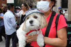 New York,   Blessing of the Animals at St. Francis of Assisi Church in Manhattan.
 St. Francis of Assisi is the patron saint of animals and it’s part of the Franciscan tradition to bless  furry friends on or near Francis’ feast day.