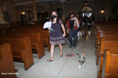New York,   Blessing of the Animals at St. Francis of Assisi Church in Manhattan.
 St. Francis of Assisi is the patron saint of animals and it’s part of the Franciscan tradition to bless  furry friends on or near Francis’ feast day.
