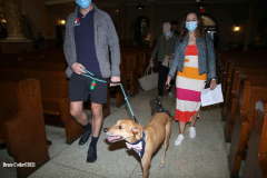 New York,   Blessing of the Animals at St. Francis of Assisi Church in Manhattan.
 St. Francis of Assisi is the patron saint of animals and it’s part of the Franciscan tradition to bless  furry friends on or near Francis’ feast day.