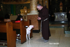 New York,   Blessing of the Animals at St. Francis of Assisi Church in Manhattan.
 St. Francis of Assisi is the patron saint of animals and it’s part of the Franciscan tradition to bless  furry friends on or near Francis’ feast day.