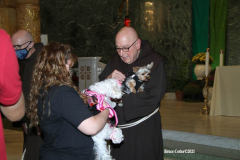 New York,   Blessing of the Animals at St. Francis of Assisi Church in Manhattan.
 St. Francis of Assisi is the patron saint of animals and it’s part of the Franciscan tradition to bless  furry friends on or near Francis’ feast day.