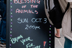 New York,   Blessing of the Animals at St. Francis of Assisi Church in Manhattan.
 St. Francis of Assisi is the patron saint of animals and it’s part of the Franciscan tradition to bless  furry friends on or near Francis’ feast day.