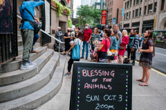 New York,   Blessing of the Animals at St. Francis of Assisi Church in Manhattan.
 St. Francis of Assisi is the patron saint of animals and it’s part of the Franciscan tradition to bless  furry friends on or near Francis’ feast day.