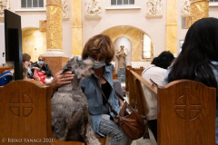 New York,   Blessing of the Animals at St. Francis of Assisi Church in Manhattan.
 St. Francis of Assisi is the patron saint of animals and it’s part of the Franciscan tradition to bless  furry friends on or near Francis’ feast day.