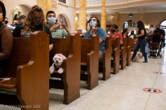 New York,   Blessing of the Animals at St. Francis of Assisi Church in Manhattan.
 St. Francis of Assisi is the patron saint of animals and it’s part of the Franciscan tradition to bless  furry friends on or near Francis’ feast day.