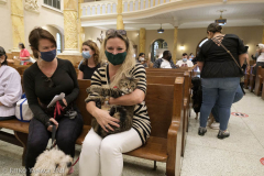 New York,   Blessing of the Animals at St. Francis of Assisi Church in Manhattan.
 St. Francis of Assisi is the patron saint of animals and it’s part of the Franciscan tradition to bless  furry friends on or near Francis’ feast day.