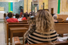 New York,   Blessing of the Animals at St. Francis of Assisi Church in Manhattan.
 St. Francis of Assisi is the patron saint of animals and it’s part of the Franciscan tradition to bless  furry friends on or near Francis’ feast day.