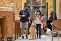 New York,   Blessing of the Animals at St. Francis of Assisi Church in Manhattan.
 St. Francis of Assisi is the patron saint of animals and it’s part of the Franciscan tradition to bless  furry friends on or near Francis’ feast day.