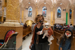 New York,   Blessing of the Animals at St. Francis of Assisi Church in Manhattan.
 St. Francis of Assisi is the patron saint of animals and it’s part of the Franciscan tradition to bless  furry friends on or near Francis’ feast day.