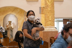 New York,   Blessing of the Animals at St. Francis of Assisi Church in Manhattan.
 St. Francis of Assisi is the patron saint of animals and it’s part of the Franciscan tradition to bless  furry friends on or near Francis’ feast day.