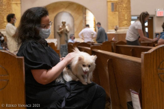 New York,   Blessing of the Animals at St. Francis of Assisi Church in Manhattan.
 St. Francis of Assisi is the patron saint of animals and it’s part of the Franciscan tradition to bless  furry friends on or near Francis’ feast day.