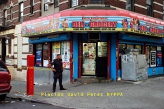 Two men shot — one of them seven times — outside Bronx bodega 
A trigger-happy gunman unleashed a barrage of bullets at two men standing outside a Bronx bodega Tuesday, hitting one of them seven times and the other twice. 
Both victims had by Tuesday night survived the alarming hail of bullets, cops said. 
The men, 21 and 37, were standing outside the Los Primos Deli Grocery at W. 165th St. and Woodycrest Ave. in Highbridge when the assailant emerged from between a parked van and SUV and started shooting. 

“There were shots. He was screaming and laying on the floor face-up, bleeding,” witness Freddy Perdomo, 55, said of the younger victim, who was hit seven times. “I could see two of his stomach wounds. The (shooter) had a gun in his hand, and he was running down the street.... He was holding a big black gun.” 

Medics took both men to Lincoln Hospital. The shooter is described as a Black man in a white t-shirt, with a scruffy beard and a bag stretched across his torso. 
Cops have not yet made an arrest in the shooting.