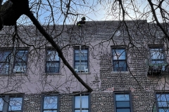 FDNY: 1 dead, 5 firefighters injured in 3-alarm fire in the Bronx. 

One person was killed and five firefighters were injured in a three-alarm fire in the Bronx Tuesday, according to the FDNY. 

The FDNY says the fire started around 12:24 p.m. on 64 W. 165 St.  
They say the flames started on the fourth floor of the building through the plumbing pipes.  

Authorities have not yet released the man's identity. 

A total of 33 units, including 138 fire and EMS members, were on the scene. The fire is under control at this time.  

The cause of the fire is under investigation, according to officials.