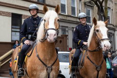 The NYPD Mounted Unit keeps an eye on Brooklynites, who enjoy the return of the St. Patrick's Day Parade in the Park Slope neighborhood of Brooklyn, NY, on Mar. 20, 2022. (Photo by Gabriele Holtermann)