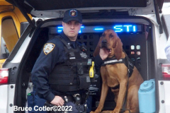 April 12, 2022  New York, Mass shooting on New York City Train. A person dressed in a Neon Green Construction Workers Vest as the train pulled into the station he set off a smoke grenade then proceeded to shoot passengers
16 people injured, 10 shot and 5 in critical condition.