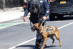 April 12, 2022  New York, Mass shooting on New York City Train. A person dressed in a Neon Green Construction Workers Vest as the train pulled into the station he set off a smoke grenade then proceeded to shoot passengers
16 people injured, 10 shot and 5 in critical condition.