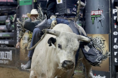 Claudio Montanha Jr. rides a bull named Tapp Out while competing in the PBR’s (Professional Bull Riders) Elite Unleash The Beast event at the Prudential Center in Newark NJ on September 19, 2021. (Photo by Andrew Schwartz)