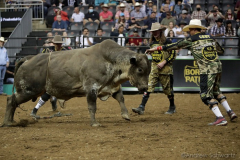 PBR Bullfighters distract a bull during the PBR’s (Professional Bull Riders) Elite Unleash The Beast event at the Prudential Center in Newark NJ on September 19, 2021. (Photo by Andrew Schwartz)