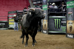 XXX rides XX while competing in the PBR’s (Professional Bull Riders) Elite Unleash The Beast event at the Prudential Center in Newark NJ on September 19, 2021. (Photo by Andrew Schwartz)