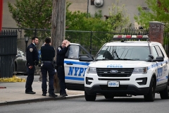 Police responded to a vehicular accident on Sunday evening in Staten Island at the intersection at Forest Avenue and Broadway in West Brighton. The accident involved a NYPD  vehicle plus a livery car and a private vehicle. Several people were injured including police officers. A woman waiting for a bus was struck by the police vehicle and taken to Staten Island University Hospital.