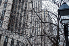 A marching protest, Stop the jail in Chinatown, organized by the Neighbors United Below Canal (NUBC) was held opposing the prospective construction of a new jail in specifically located adjacent to Columbus Park in Chinatown. Residents and long time supporters, key figures and locals all protest against any building which is theorized to be between 20-30 stories high.
The protests are not new and have been an ongoing contingent problem since 2019 when the proposal was passed. 
Amongst those who spoke were U.S. Rep of New York, JERRY NADLER; NUBC Founder, Jan Lee; CCBA’s Raymond Tsang and actress Evelyn Yang.
Sunday, March 20, 2022. (C) Bianca Otero