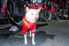 Thousands came out on a beautiful sunny day for the NYC Chinatown Chinese New Year Parade,  Sunday, February 20, 2022 (C) Bianca Otero