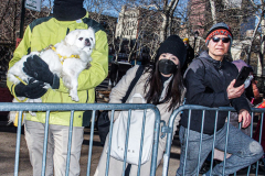 Thousands came out on a beautiful sunny day for the NYC Chinatown Chinese New Year Parade,  Sunday, February 20, 2022 (C) Bianca Otero