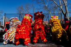 Celebrations of the Chinese Lunar New Year 2022 took place in Chinatown in Manhattan, NYC. It is the Year of the Tiger. 
Hundreds partook in the festivities where there were ceremonial dances, crackers and fireworks. NYC Mayor Eric Adams as well as other local politicians came in attendance. Manhattan, NYC. (C) Bianca Otero