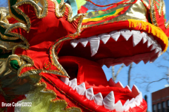 February 1, 2022  New York   
Year of the Tiger Lunar New Year's firecracker Ceremony held in Sara D. Roosevelt Park.in New York City's Chinatown neighborhood.