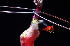 Irina Akimova was born in 1982, Irina Akimova’s path to performance began at the tender age of 13 when she studied at the Circus of Youth "Art-Alle" in Marks, Russia. Even as a youngster, she was focused on reaching her goal as an artist, always training and always improving. When not rehearsing, she used her free time to teach younger children the skills she was learning. Her act known as "Game with Hula-Hoops" is a highly entertaining piece that blends fascinating tricks with flexibility at an incredible pace, making it a sensation at venues everywhere. One of the performers in the Big Apple Circus in Lincoln Center Plaza, New York City on 14 Jan 2022