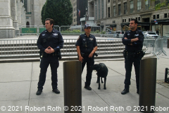 An NYPD tactical unit was stationed outside St. Patrick's Cathedral during the parade.